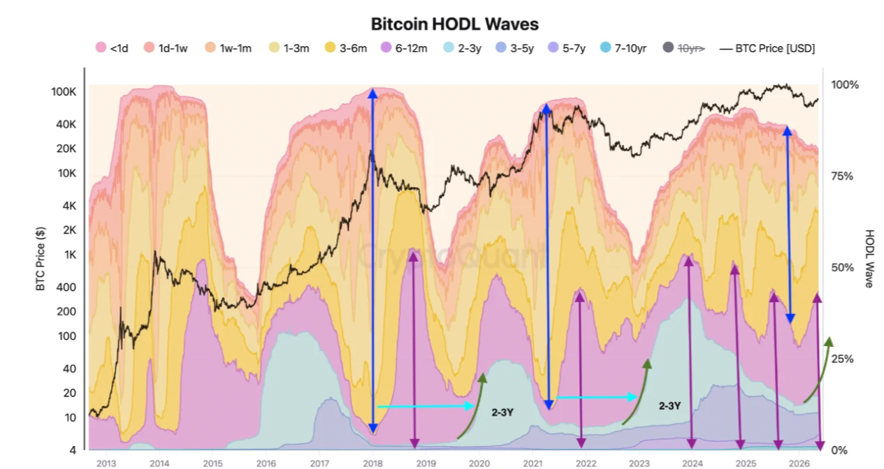 Indikátor Bitcoin Hold Waves. Zdroj: CryptoQuant