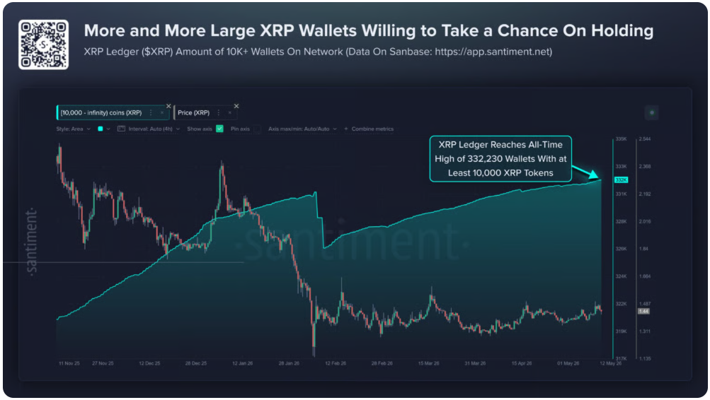 Držení XRP v peněženkách na síti XRP Ledger.