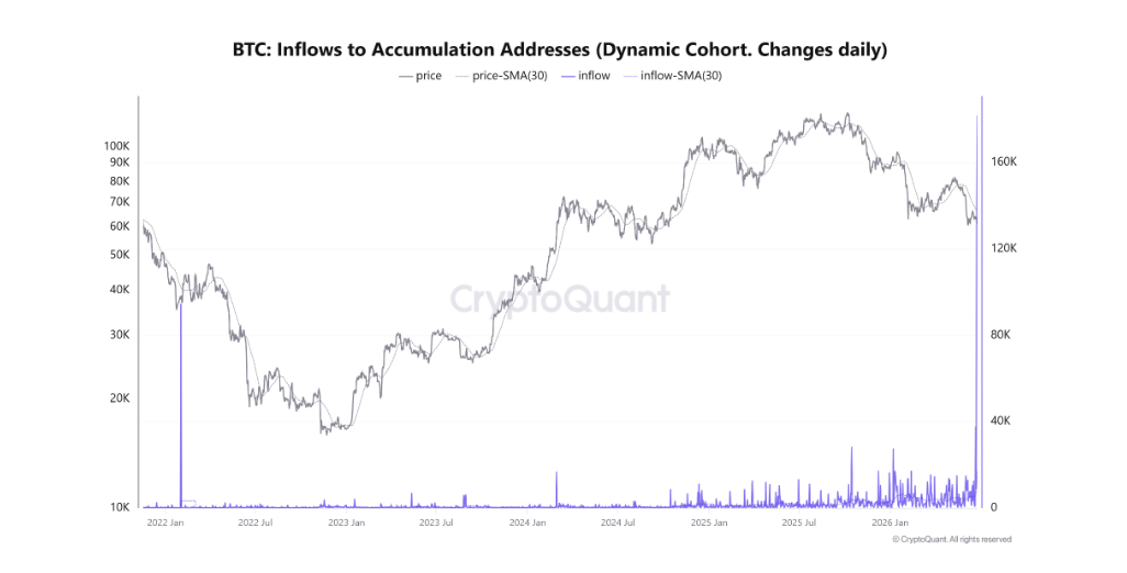 BTC Inflows to Accumulation Addresses (Dynamic cohort, changes daily) je on-chain ukazatel, který měří, kolik bitcoinů přiteklo na akumulační adresy, tedy peněženky, které dlouhodobě shromažďují BTC a téměř nikdy je neutrácejí. Označení Dynamic cohort (changes daily) znamená, že seznam těchto akumulačních adres se průběžně mění. Každý den se přepočítává podle aktuálního chování peněženek. Některé adresy do skupiny přibudou, jiné z ní vypadnou, pokud začnou své bitcoiny utrácet.