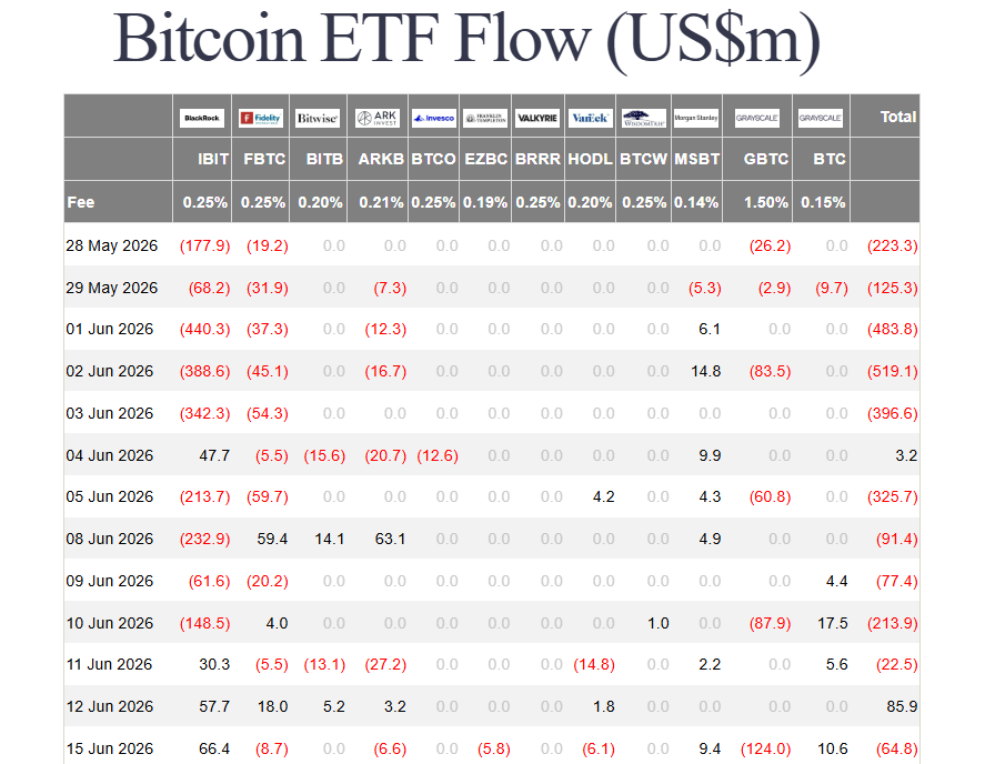 V pátek 12.6. zaznamenaly americké spotové bitcoinové ETF fondy nejvyšší měsíční příliv nového kapitálu.
