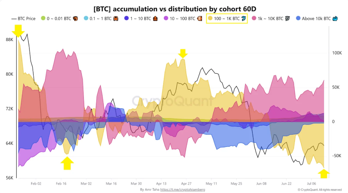 Akumulace vs. distribuce podle skupin držitelů za posledních 60 dní. Jde o on-chain ukazatel, který sleduje, zda různé skupiny investorů podle velikosti svých bitcoinových držeb během posledních 60 dnů spíše nakupují (akumulují), nebo prodávají (distribuují).