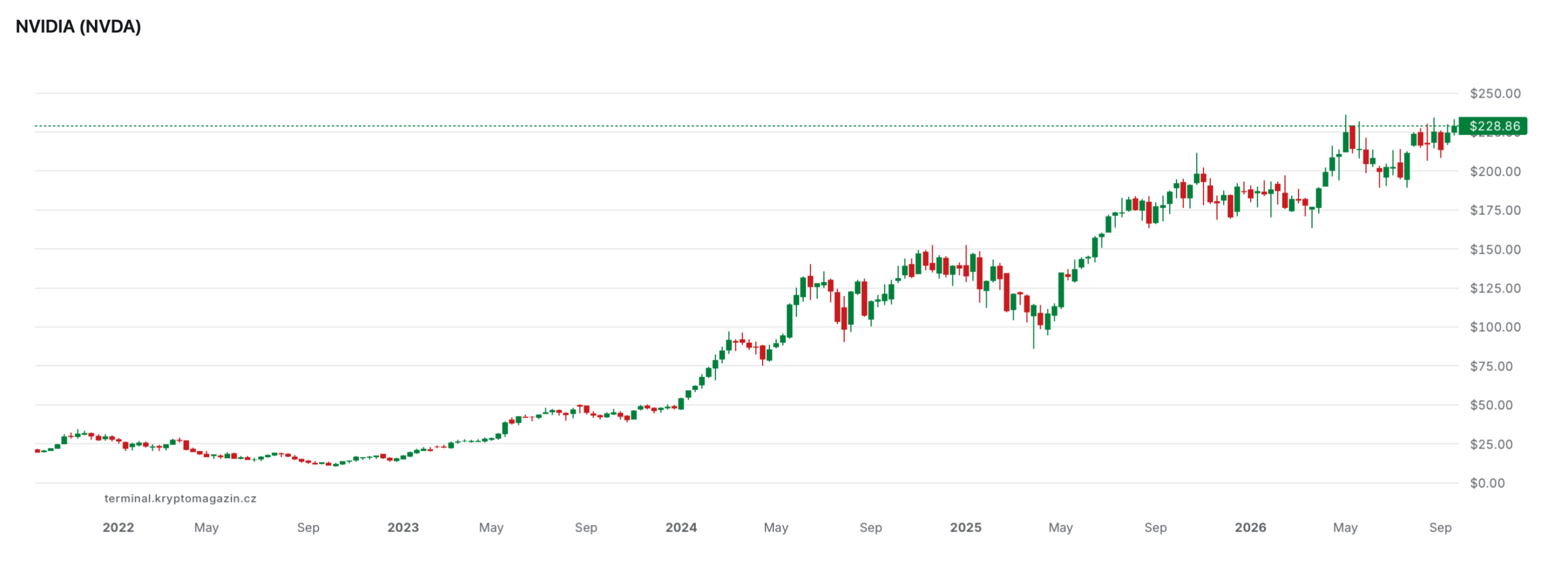 Nvidia’s stock gained over 1000 % over the past 5 years. Source: terminal.kryptomagazin.cz
