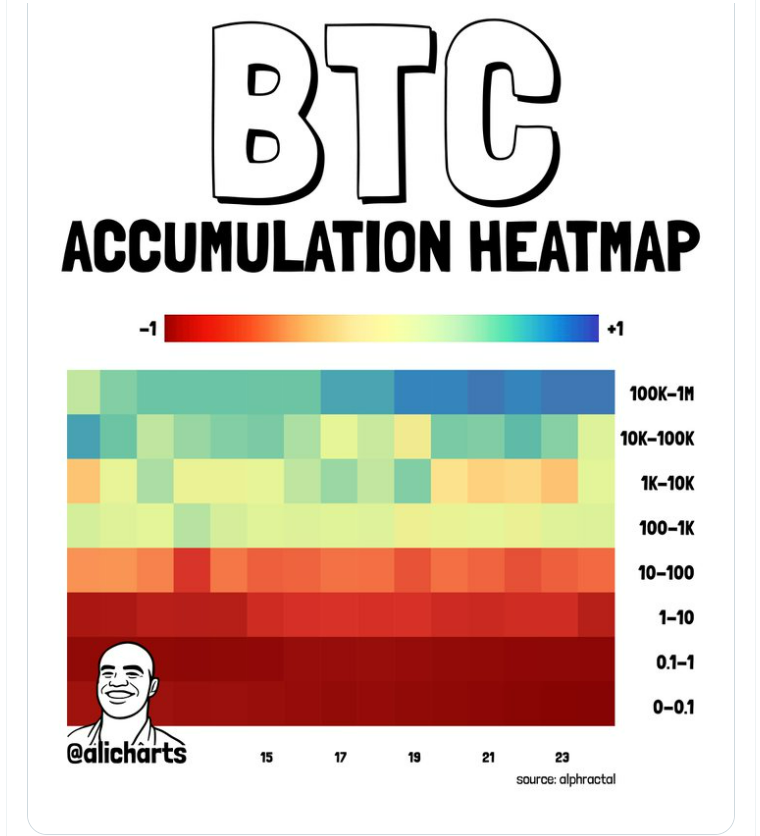 Akumulační heatmap bitcoinu podle velikosti peněženek držitelů.