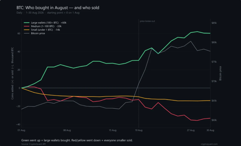 Data CryptoQuant ukazují výrazný rozdíl mezi velkými a menšími držiteli. V srpnu peněženky s více než 100 BTC přidaly přibližně 60 000 BTC, zatímco držitelé 1–100 BTC prodali asi 33 000 BTC a nejmenší peněženky dalších 14 000 BTC.