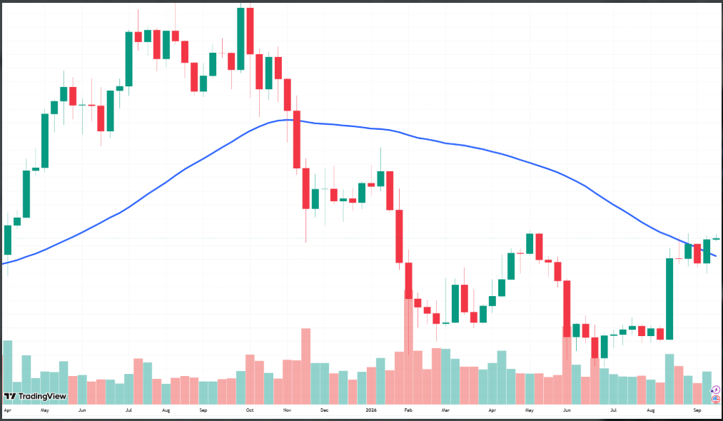 Bitcoin zakončil týden na Coinbase na 81 159 USD, což je nad jeho 50týdenním klouzavým průměrem (modrým).