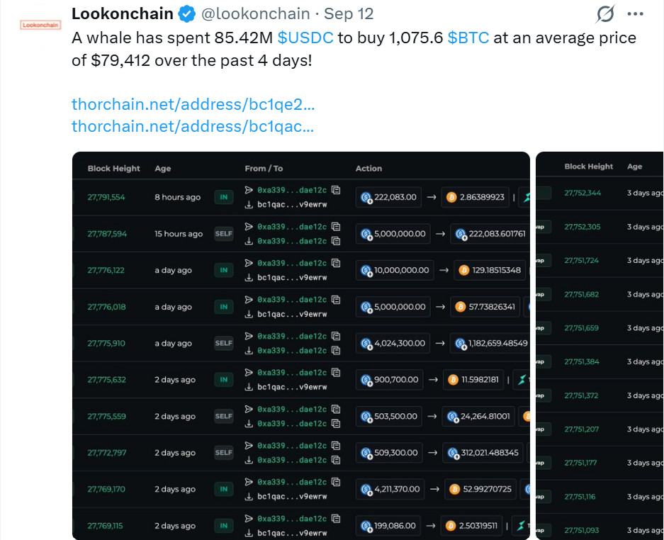Velká bitcoinová velryba během pouhých čtyř dnů nakoupila 1 075,6 BTC za 85,42 milionu dolarů v USDC. Průměrná nákupní cena dosáhla 79 412 dolarů za bitcoin. Data ukazují sérii transakcí, kterými velký hráč postupně přesouval miliony dolarů do BTC.