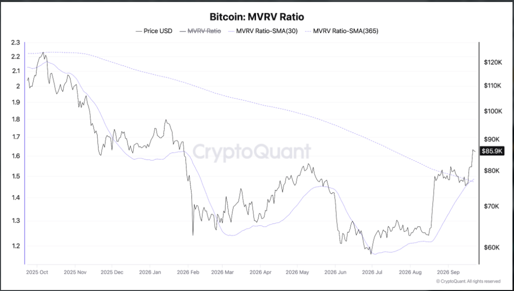 Graf znázorňuje vývoj bitcoinového MVRV poměru a jeho 365denního klouzavého průměru. Ukazuje, jak se po výrazném poklesu MVRV v roce 2026 indikátor znovu zotavuje a přibližuje dlouhodobému průměru.