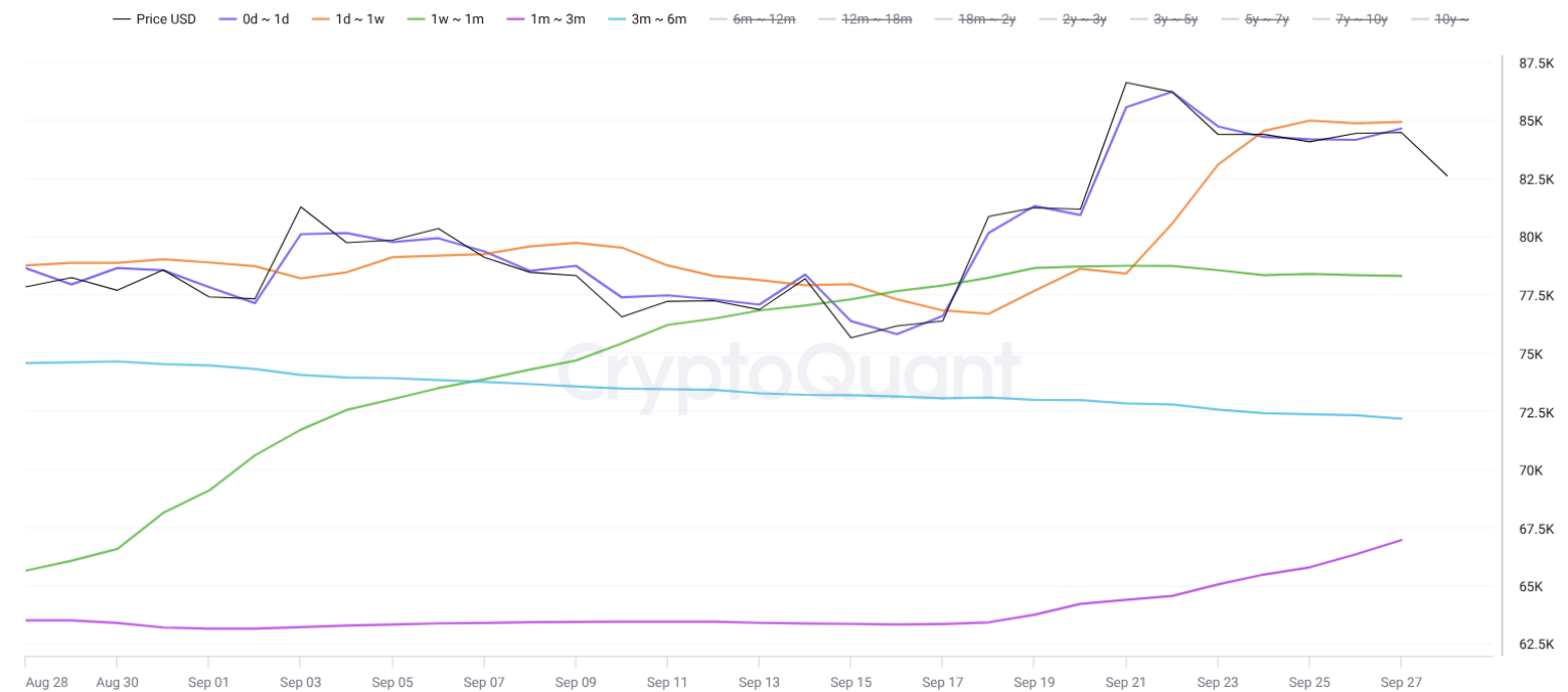 Graf ukazuje vývoj nákladové ceny bitcoinu podle stáří jednotlivých nákupů. Zatímco krátkodobí držitelé se pohybují poblíž aktuální tržní ceny, nákladová báze investorů s delším horizontem zůstává výrazně níže.