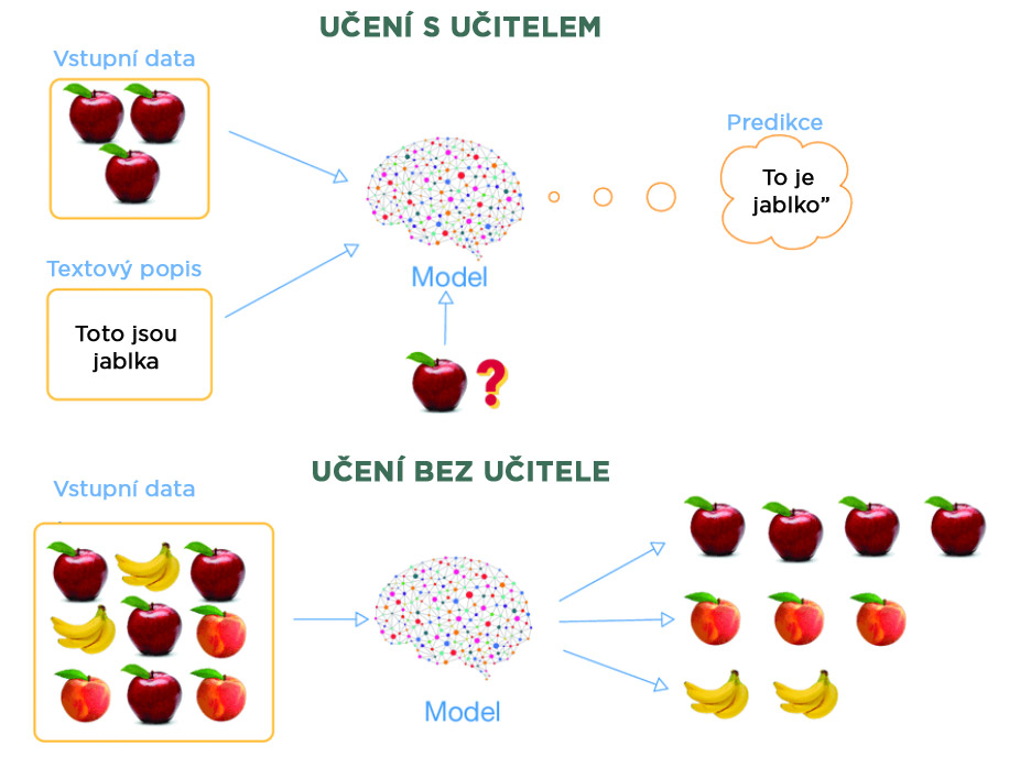 Strojové učení s a bez učitele. Zdroj: diversity-promotion.cz