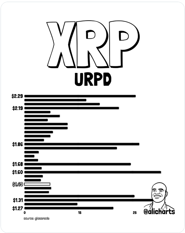 URPD graf XRP ukazuje, že po nedávné akumulaci velryb může mít cena relativně volný prostor až k úrovni 1,60 USD. Právě kolem této hranice se podle dat soustředí významné množství dříve zobchodovaného XRP, což z ní dělá důležitou zónu pro další vývoj ceny.