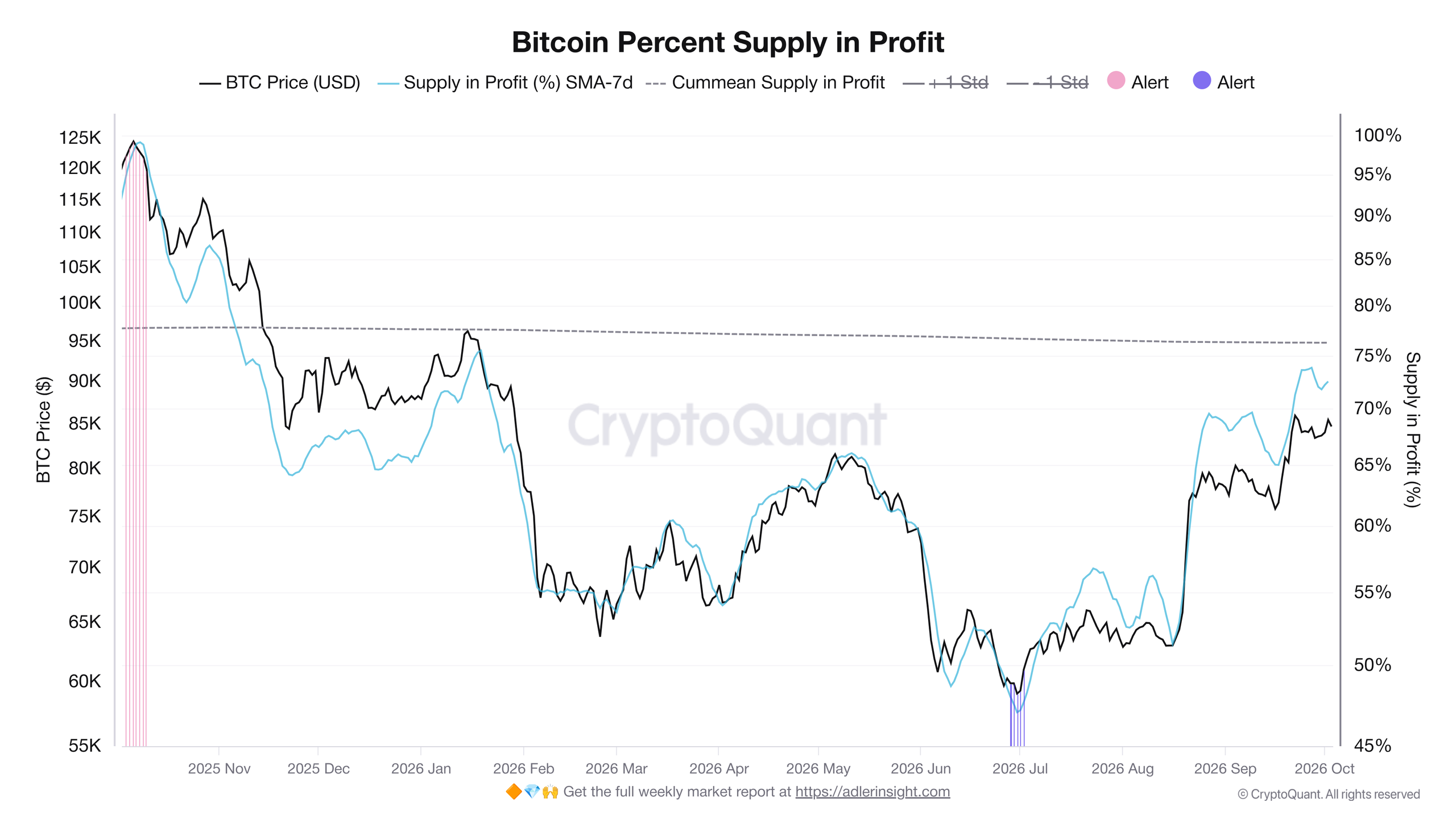 Přehled vývoje mincí v zisku za poslední rok (zdroj: CryptoQuant / Axel Adler Jr.).