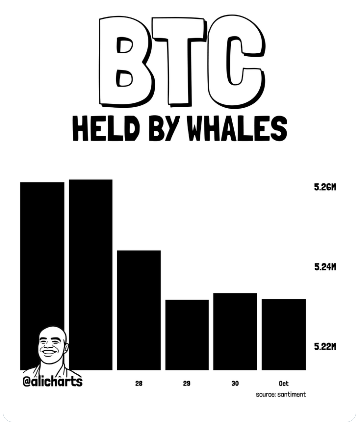 Množství bitcoinu drženého velkými držiteli v posledních dnech kleslo. Počet BTC v jejich peněženkách se snížil zhruba z 5,26 na 5,23 milionu BTC.