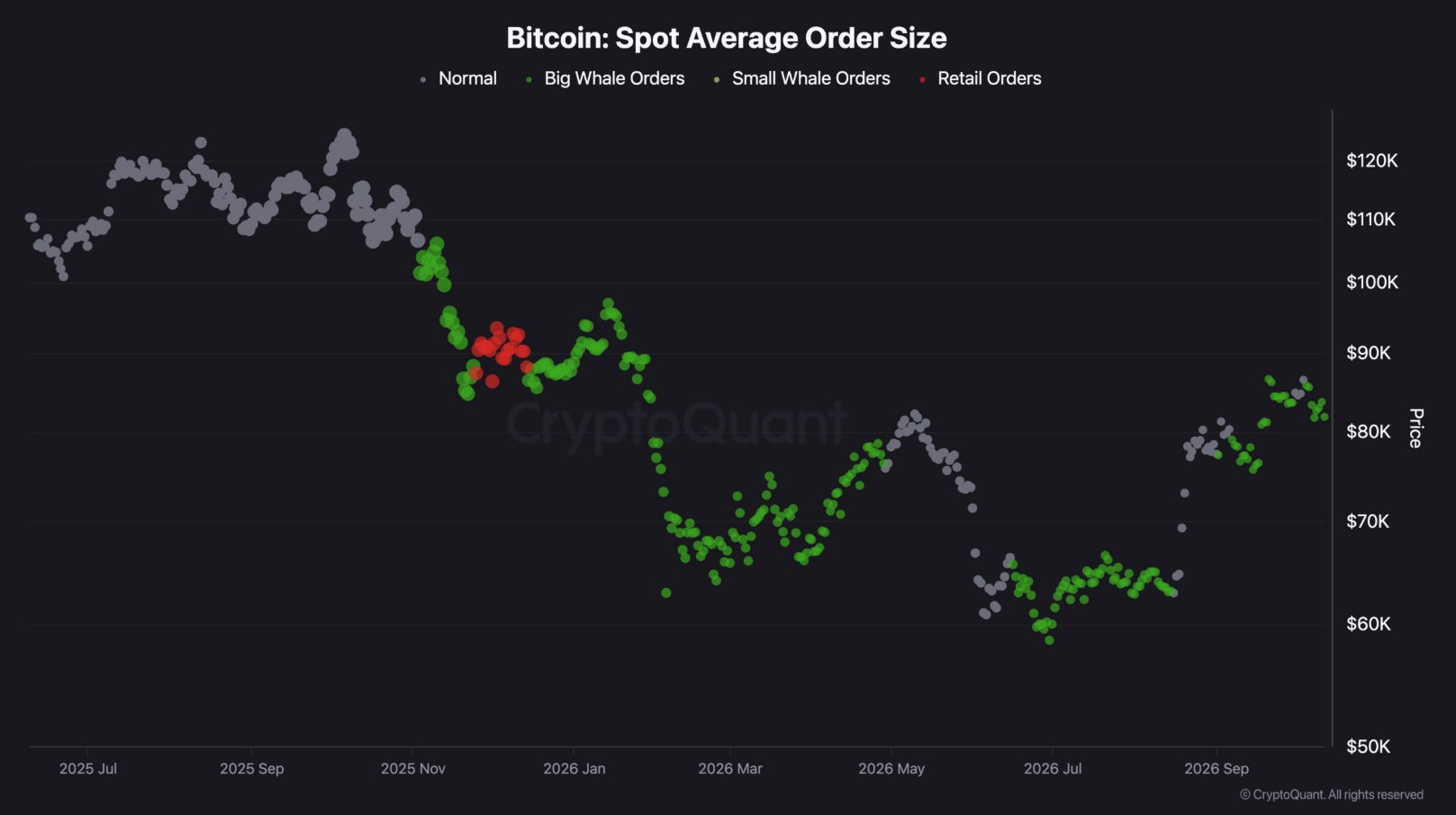 Graf CryptoQuant sleduje průměrnou velikost spotových objednávek na trhu s bitcoinem od léta 2025 do října 2026. Zelené body označují velké a menší velrybí objednávky, šedé běžné obchody a červené objednávky drobných investorů. V posledních týdnech graf ukazuje obnovenou aktivitu velkých hráčů při cenách kolem 80 000 až 87 000 dolarů. Samotná velikost objednávek však neprozrazuje, zda velryby nakupují, nebo prodávají. Pro další vývoj bitcoinu bude důležité sledovat, zda jejich aktivitu doprovodí průlom nad rezistenci, nebo naopak další tlak na pokles ceny.