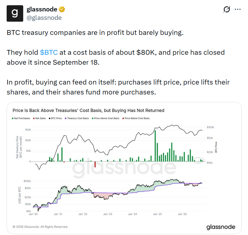 Podle dat Glassnode se průměrná pořizovací cena firemních bitcoinových rezerv pohybuje kolem 80 000 USD a bitcoin od 18. září uzavíral obchodování nad touto hranicí. Graf však ukazuje, že nákupní aktivita firem zůstává v poslední době utlumená. Pokud bitcoin klesne pod průměrnou nákupní cenu těchto firem, což se právě děje, hodnota jejich bitcoinových rezerv bude nižší, než kolik za ně původně zaplatily. 