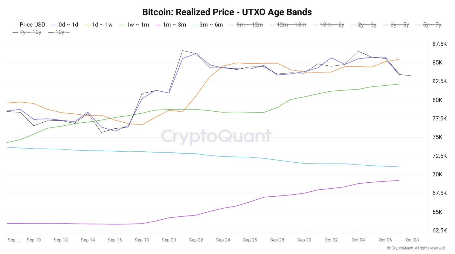 Graf realizované ceny bitcoinu rozdělené podle stáří držených mincí od jednoho dne po šest měsíců.